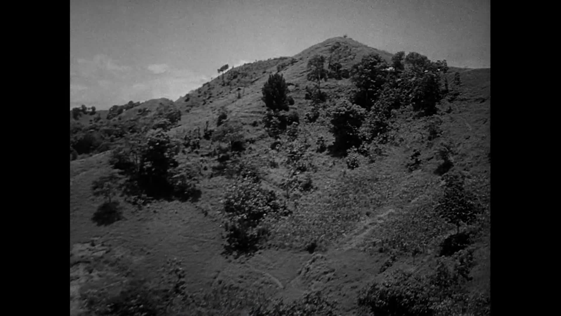 Thumbnail image for Modesta (Film)