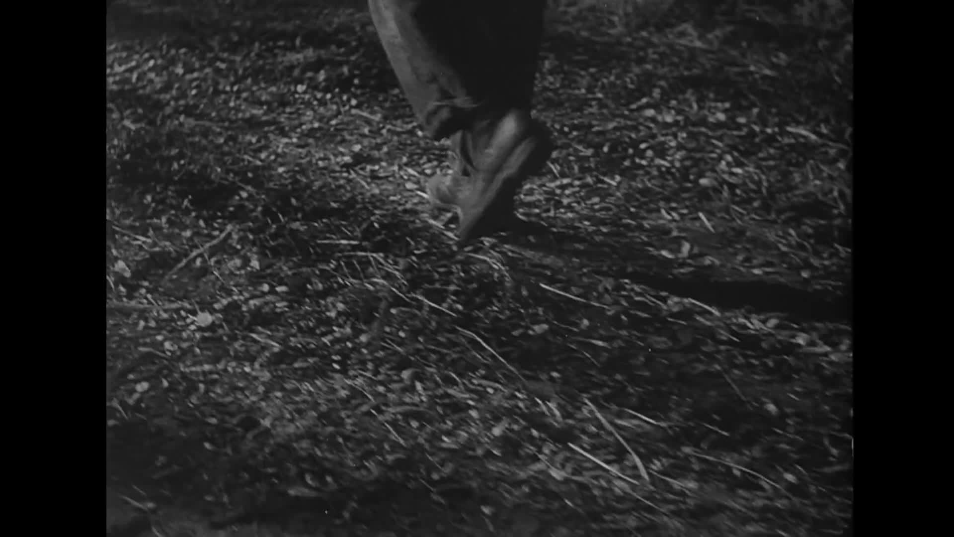 Thumbnail image for The Hitch-Hiker (Film)