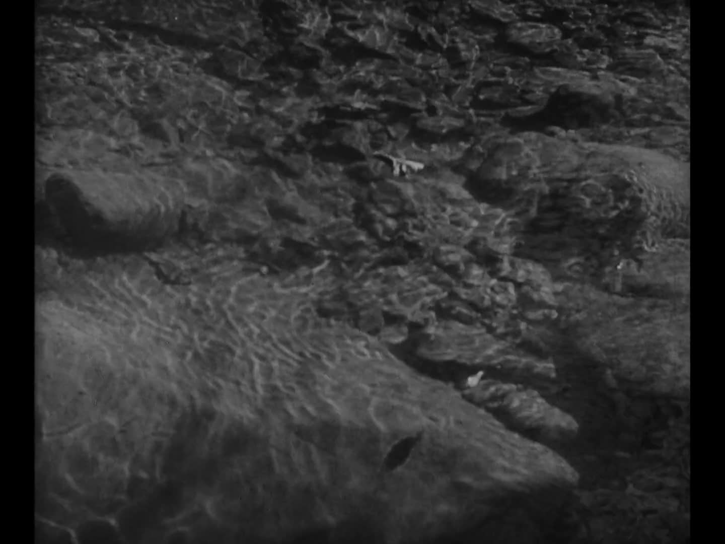 Thumbnail image for The River (Documentary Film)