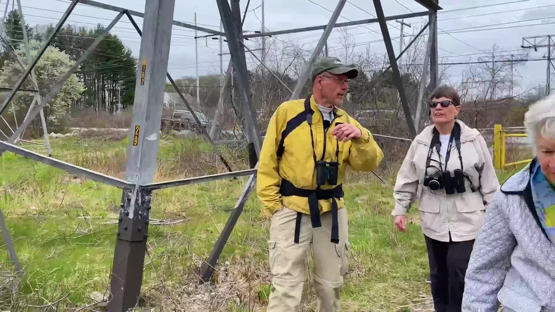Thumbnail image for Bluebird Restoration Project: Episode 5 North Billerica Group Nest Check