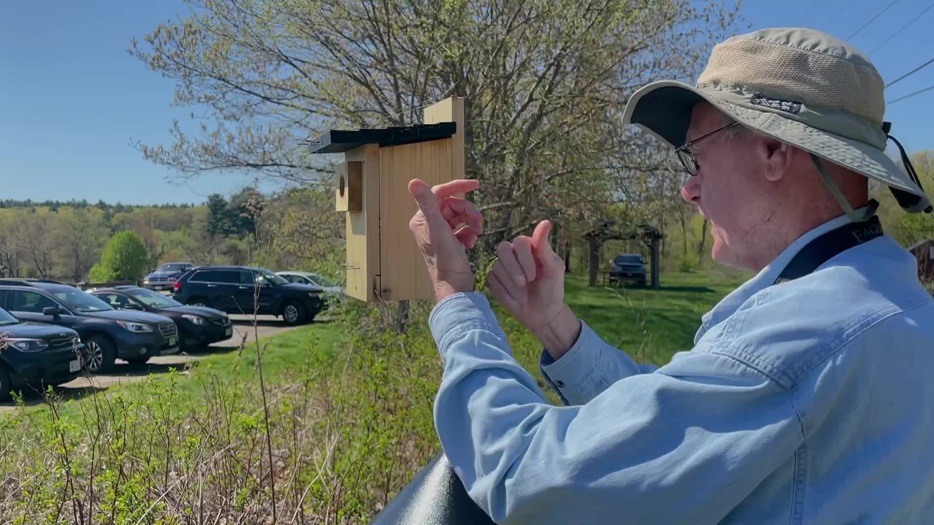 Thumbnail image for Bluebird Restoration Project: Episode 6 Vietnam Veteran's Park Group Nest Check