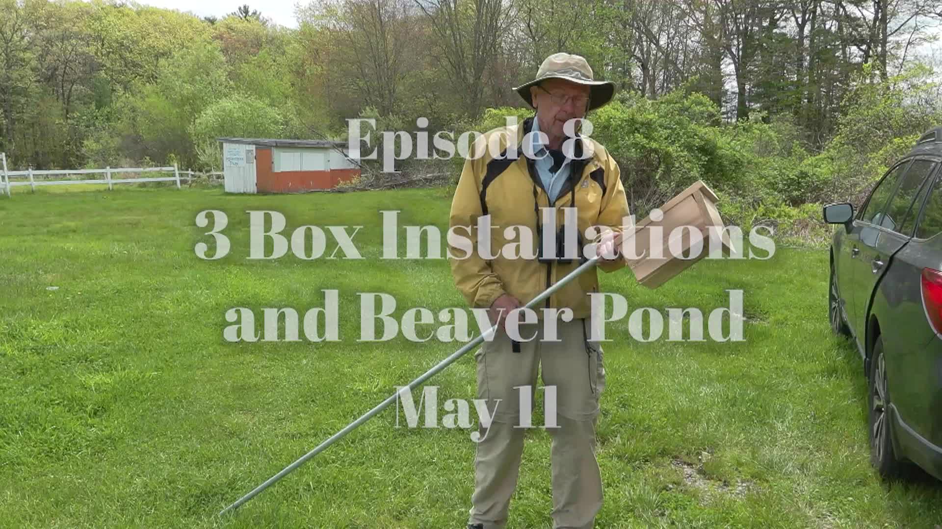 Thumbnail image for Bluebird Restoration Project: Ep8 Box Installations and Beaver Pond