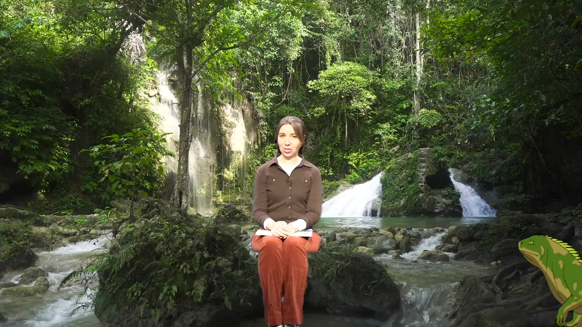 Thumbnail image for Cosette's Enchanted Journeys: Ep. 73 The Iguana Brothers